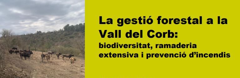 La gestió forestal a la Vall del Corb: biodiversitat, ramaderia extensiva i prevenció d’incendis