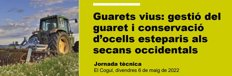 Guarets vius: gestió del guaret i conservació d’ocells esteparis als secans occidentals