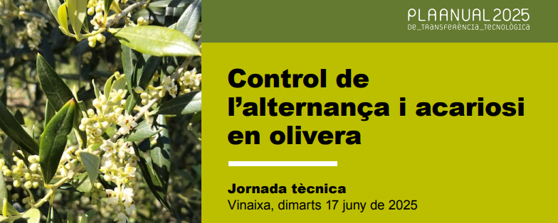 Control de l’alternança i acariosi en olivera